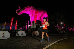 BIB: 
                            <button type="button" onclick="openModal(26534120)" class="btn btn-primary btn-sm float-right btn-popup" data-toggle="modal" data-target=".modal-high-quality">
                        <i class="fas fa-shopping-cart"></i> Add to Cart
                    </button>
                                            <button type="button" onclick="isThisMe(26534120, true)" class="btn btn-success btn-sm float-right btn-popup btn-isme hidden" data-toggle="tooltip" data-placement="bottom" title="นี่คือรูปของคุณใช่ไหม คลิกที่นี่เพื่อเอาเข้าอัลบั้ม">
                        <i class="fas fa-plus"></i> Add to album
                    </button>
                    <button type="button" onclick="isThisMe(26534120, false)" class="btn btn-warning btn-sm float-right btn-popup btn-isnotme hidden">
                        <i class="fas fa-ban"></i> Remove from album
                    </button>